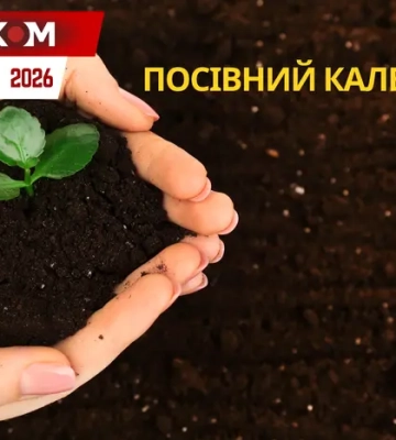 Посівний календар на квітень 2026: час великої висадки та пробудження відкритого ґрунту