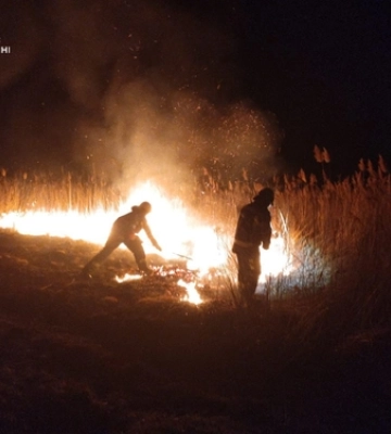 Найтриваліша пожежа на Волині: рятувальники пів доби гасили вогонь на торфовищі 