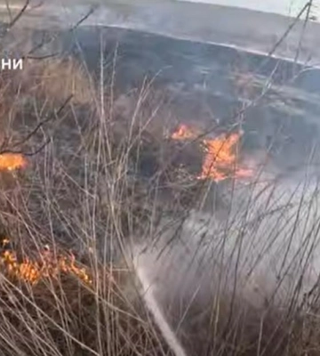 Найтриваліша пожежа на Волині: рятувальники пів доби гасили вогонь на торфовищі 