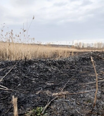 500 кв. м сухої трави вигоріли в Києві