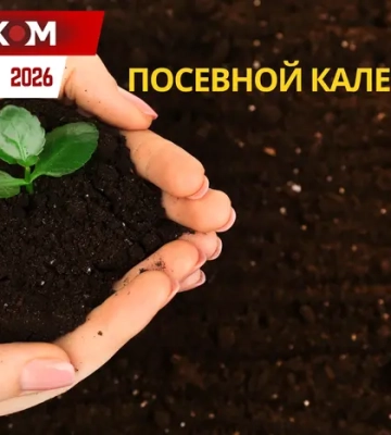 Посевной календарь на апрель 2026 года: время массовой посадки и пробуждения открытого грунта