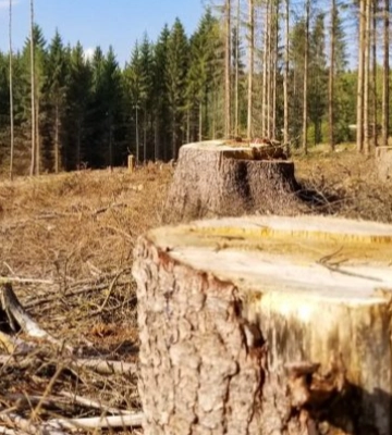На Волині чоловік побив знайому й погрожував їй гранатою
