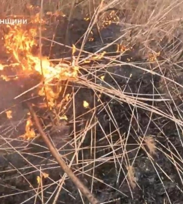 На Рівненщині за день вигоріло понад 7 гектарів сухої трави (ВІДЕО)