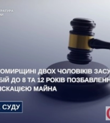8 та 12 років тюрми за розбій: на Житомирщині засудили чоловіків, які пограбували та побили власного родича