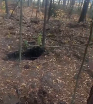 На Волині чоловік проник у будинок і зґвалтував неповнолітню