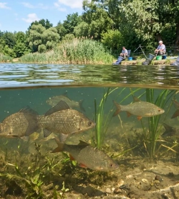 З 1 квітня стартує нерестова заборона на вилов водних біоресурсів: строки, обмеження та відповідальність