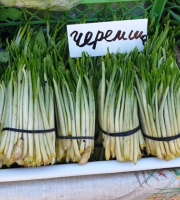У Києві за продаж черемші карають штрафом: скільки доведеться заплатити