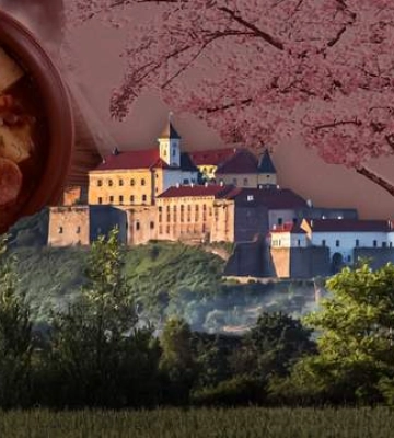 Тут сакур більше, ніж в Ужгороді: чому в Мукачево потрібно їхати щонайменше на кілька днів