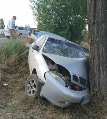 На Волині п’яний студент на автівці врізався в дерево: пасажир отримає 100 тисяч гривень морільної шкоди