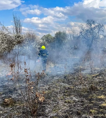 Майже 700 пожеж від початку року: закарпатців попереджають про небезпеку спалювання трави