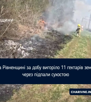 На Рівненщині за добу вигоріло 11 гектарів землі через підпали сухостою