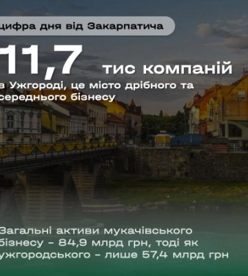 Бізнес-битва Закарпаття: чому Мукачево випереджає Ужгород за активами, але програє за кількістю