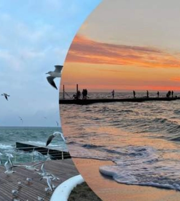 Сакури, море і тиша: чому всі радять їхати в Одесу навесні
