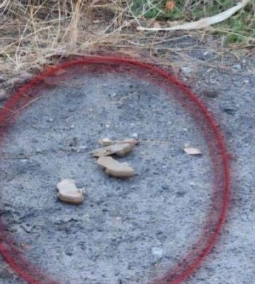 У Херсоні далі виявляють міни-“пелюстки”