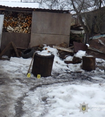 На Львівщині чоловік убив кота рідного брата