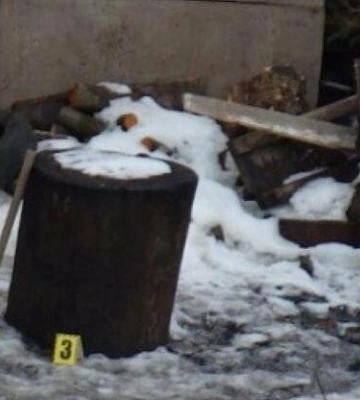 На Львівщині чоловік убив кота рідного брата