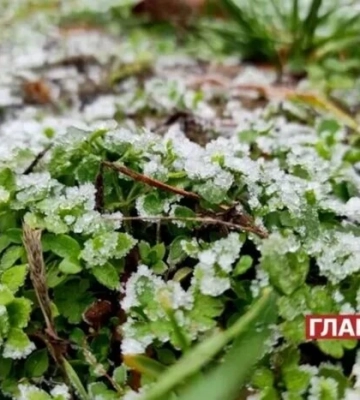 На Київщину сунуть весняні заморозки: оголошено жовтий рівень небезпеки