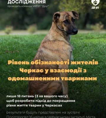 Черкаські волонтери хочуть з’ясувати, наскільки у Черкасах обізнані про поводження з тваринами