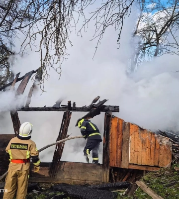 Вогонь ледь не знищив усе: на Закарпатті рятувальники за годину зупинили пожежу в селі