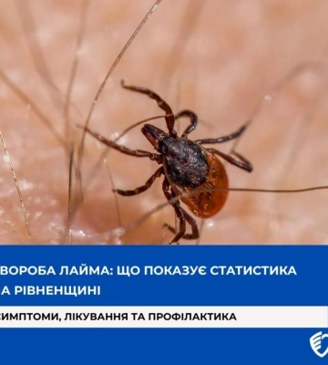 На Рівненщині від початку року зафіксовано 24 випадки хвороби Лайма