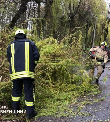 На Соборній у Рівному прибрали повалене негодою дерево