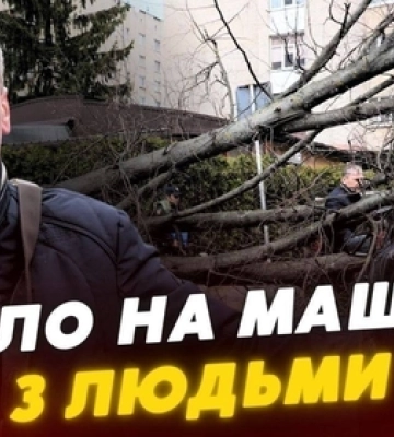 «Вилазили через задні двері»: у Луцьку дерево розтрощило автівку з подружжям всередині (відео)