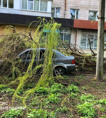 Повалені дерева та пошкоджені дахи: рятувальники Рівненщини ліквідовували наслідки негоди