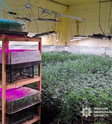 Миколаївські поліцейські затримали трьох підозрюваних у незаконному обігу наркотиків