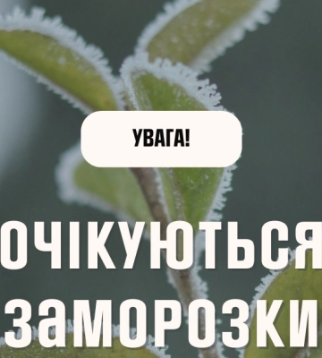 Заморозки на Київщині та у столиці: оголошено помаранчевий рівень небезпеки