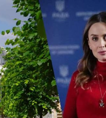 В Раде поддержали отставку нардепа от "Слуги народа" Володиной
