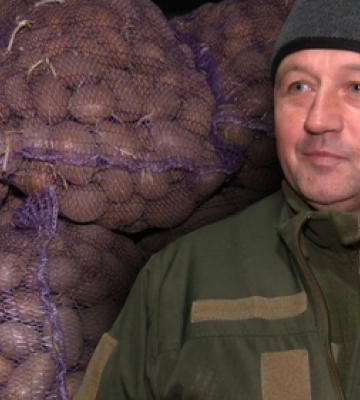 Німецька та голландська: на Волині ветеранам та родинам військових безплатно роздають картоплю (фото, відео)