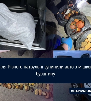 Біля Рівного патрульні зупинили авто з мішком бурштину