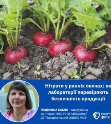 Ранні овочі Закарпаття: що насправді потрапляє до нашої тарілки під виглядом вітамінів