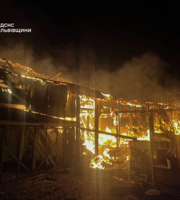 Масштабна пожежа на Львівщині: рятувальники понад три години гасили вогонь