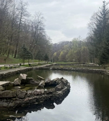 Дикі качки та первоцвіти. У парку «Погулянка» відновили роботу водойм