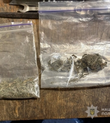 Щомісяця заробляли 250 тисяч гривень: на Волині затримали наркоділків 