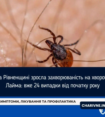 На Рівненщині зросла захворюваність на хворобу Лайма: вже 24 випадки від початку року