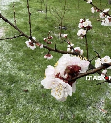 В Україні на Великдень - дощ і мокрий сніг, вночі можливі заморозки