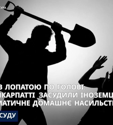 У Калуші чоловіка засудили за систематичне домашнє насильство