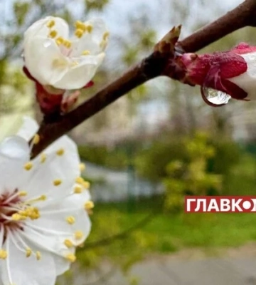 В Україні місцями невеликий дощ та мокрий сніг: погода на 11 квітня 2026
