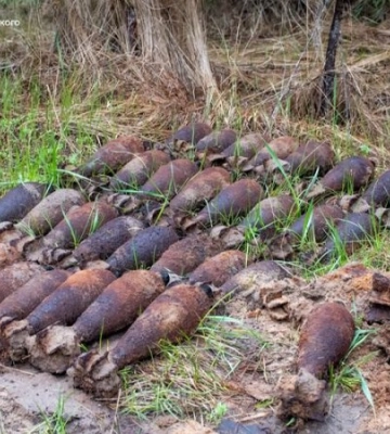 На Харківщині виявили 43 боєприпаси часів Другої світової війни