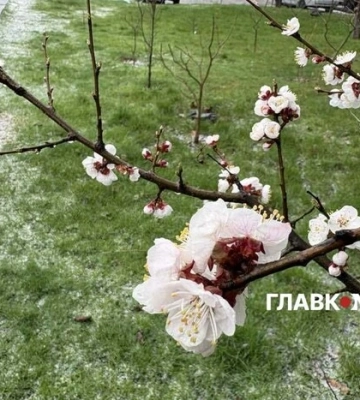 В Киевской области объявлен оранжевый уровень опасности из-за ночных заморозков