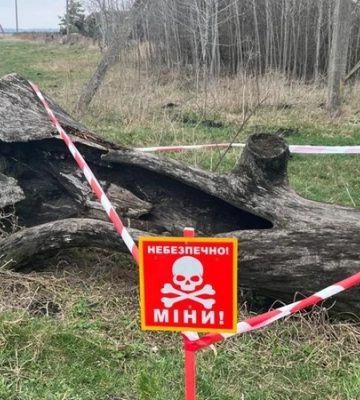 В Тернопольской области в дупле дерева нашли снаряд времен Второй мировой войны в дупле дерева
