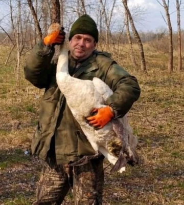 У Чорнобильському заповіднику врятовано лебедя, який потрапив у пастку 