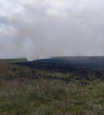 Закарпаття у вогні: сотні гектарів знищено — рятувальники б’ють на сполох через небезпечну звичку