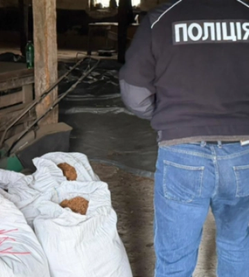 На Прикарпатті та Закарпатті викрили підпільну тютюнову мережу: 25 гектарів посівів і 8 тонн сировини (ФОТО, ВІДЕО)