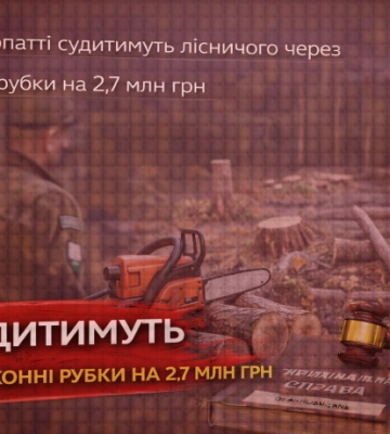 На Прикарпатті судитимуть лісничого через незаконні рубки на 2,7 млн грн