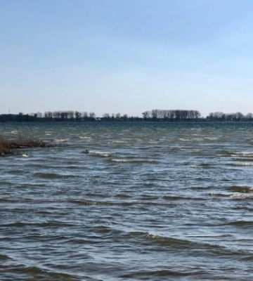 Море серед лісу: волинські морські краєвиди закохують мережу 