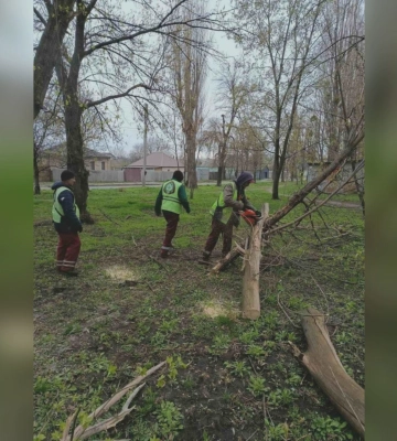 Негода валила дерева і ламала гілки: наслідки сильного вітру в Харкові 