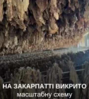 На заході України викрито нелегальний тютюновий бізнес
